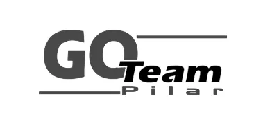 GO Team Pilar