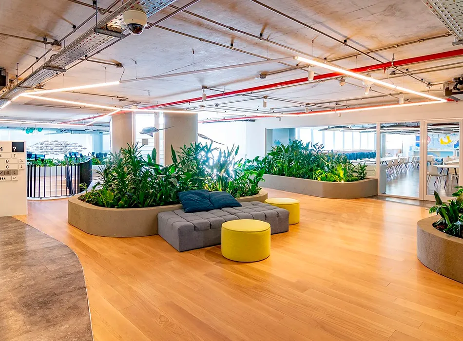 Proyecto de paisaje de Turf Type en las oficinas de Mercado Libre, foto 2