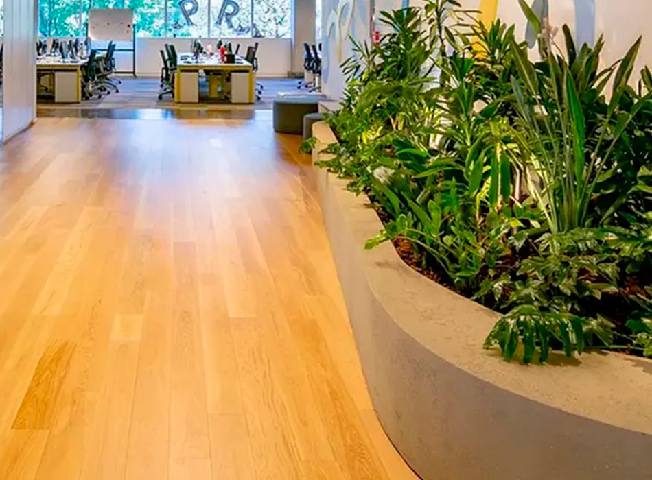 Proyecto de paisaje de Turf Type en las oficinas de Mercado Libre, foto 3