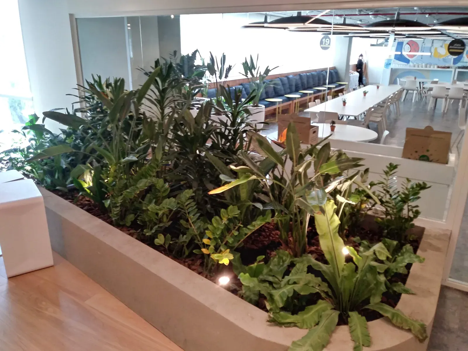 Proyecto de paisaje de Turf Type en las oficinas de Mercado Libre, foto 6