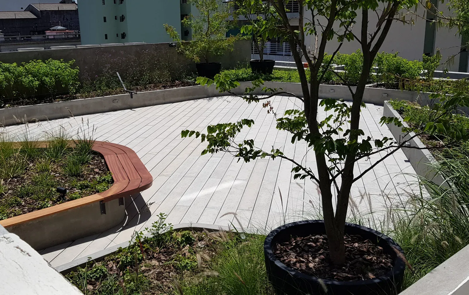 Proyecto de paisaje de Turf Type en las oficinas de Mercado Libre, foto 7