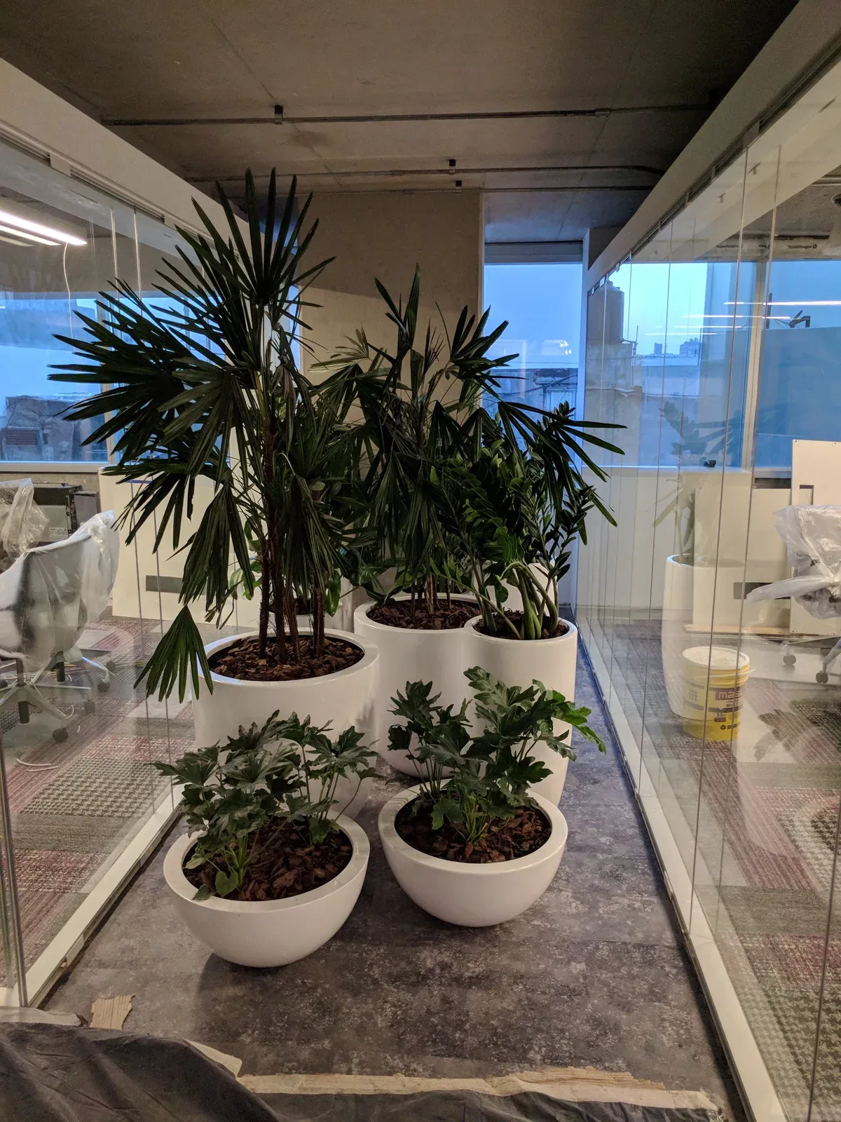 Proyecto de paisaje de Turf Type en las oficinas de Mercado Libre, foto 8